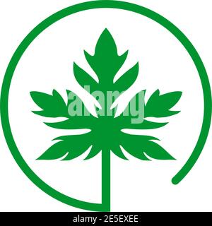 Papaya leaf logo design vector template Stock Vector