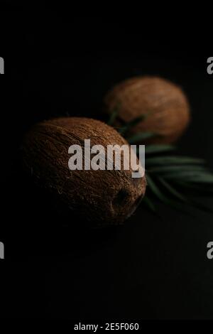 Raw coconut on the black background. Blurred background Stock Photo