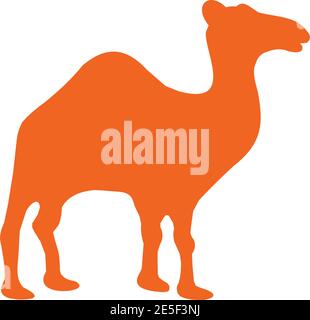Camel animal logo design vector template Stock Vector