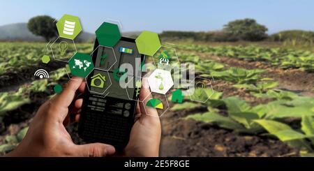 agriculture technology concept man Agronomist Using a Tablet Internet of things report Stock Photo