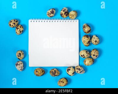 a blank sheet of paper surrounded by quail eggs on a blue background Stock Photo