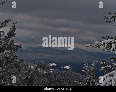 Beautiful view over snow-covered Black Forest hills, Germany viewed through the frozen branches of coniferous trees from Schliffkopf peak in winter. Stock Photo