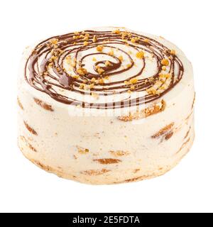 Isolated turtle cake with chocolate syrup on white Stock Photo