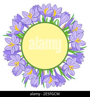 Vector frame with blue crocus flowers on a white background Stock Vector