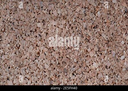 Close-up of a cork texture Stock Photo