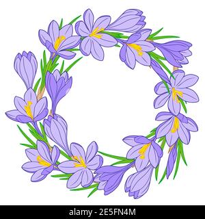 Frame with blue crocus flowers on a white background Stock Vector