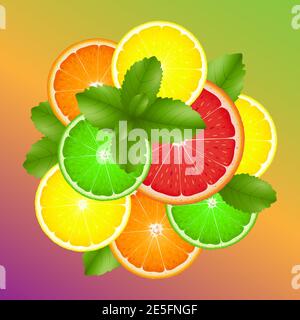 Citrus slices of lemon, orange, lime, grapefruit and mint leaves on colorful background. Vector illustration Stock Vector
