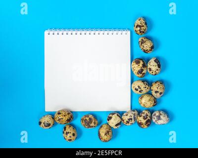 a blank sheet of paper surrounded by quail eggs on a blue background Stock Photo