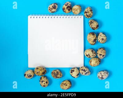 a blank sheet of paper surrounded by quail eggs on a blue background Stock Photo