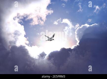 Bird spreads its wings and fly to heaven trough dramatic cloudscape. Stock Photo