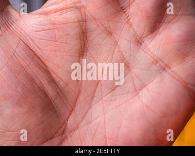 Wrinkled hand - Lines of life on palm of hand Stock Photo