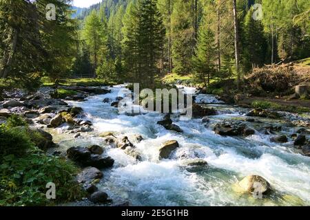 Torrential mountain stream rushes through alpine forests into the valley Stock Photo