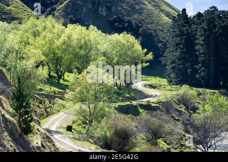 Winding gravel road through farmland on hills, Akitio, Tararua District, North Island, New Zealand Stock Photo