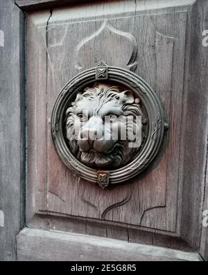 Old front door with a lion's head. Photo of antique sculpture of a lion on the old wooden door. Stock Photo