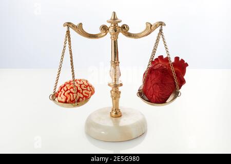 Brain and heart on scale balance on white background Stock Photo