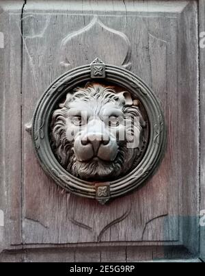 Old front door with a lion's head. Photo of antique sculpture of a lion on the old wooden door. Stock Photo