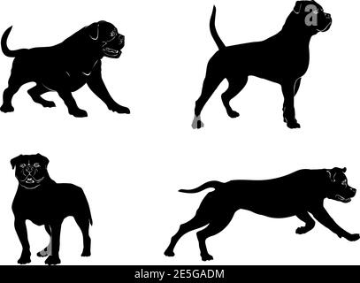 Dog, bulldog in motion, american bulldog different poses, black Stock Vector