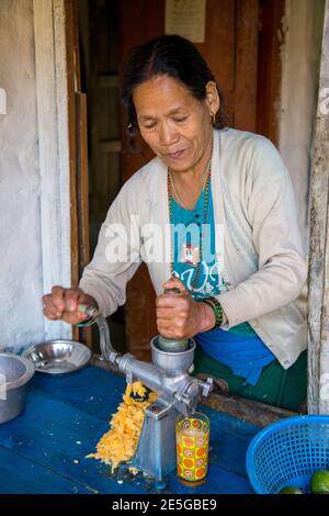 Lady hand pressing fresh juice on Annapurna Circuit, Nepal Stock Photo