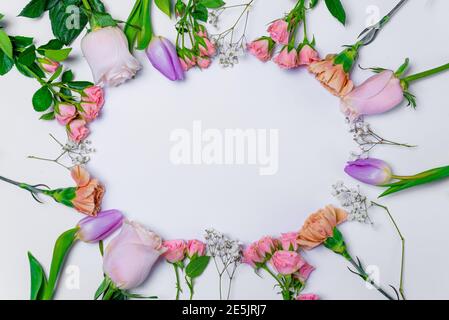 spring flowers composition on white background. gillyflower, carnation, rose, daisy and tulips flat lay. floral composition as concept as spring seaso Stock Photo