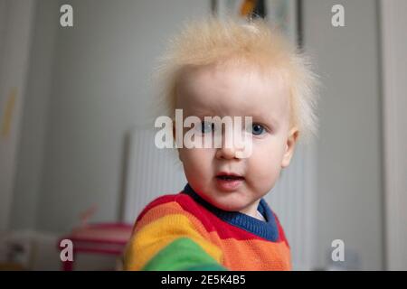 Cute young toddler happy boy looking directly at the camera Stock Photo