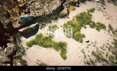 Global warming concept. A few grass clumps in a shape of world continents growing on cracked mud. 3d rendering. Stock Photo