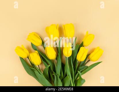 Bouquet of yellow tulips on a beige background. Stock Photo