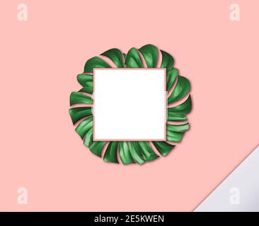 Monstera leaf with blank space on the light pink background Stock Photo