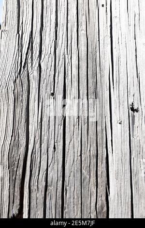Old wooden posts in Newcastle Upon Tyne, Tyneside, North East England, UK Stock Photo