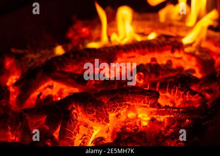 Flame of fire from burning coals in the bonfire Stock Photo