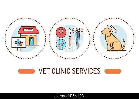 Vet clinic services outline concept. Animal care line color icons. Pictograms for web page, mobile app, promo. Stock Vector