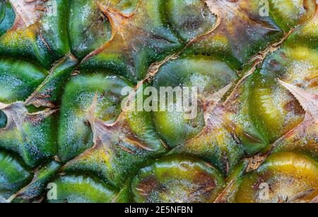 Macro pineapple's skin, beautiful texture, and colors of glossy skin pineapple. Stock Photo