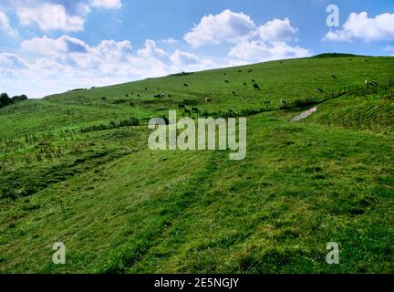 View SW up the flank of Walkers Hill, Wiltshire, England, UK, showing ancient earthworks & trackways below Adam's Grave Neolithic long barrow. Stock Photo