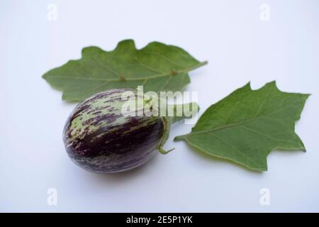 Brinjals, eggplants or aubergines fresh Indian vegetables or fruits. Purple violet colored with white stripes, round or spherical shape eggplants isol Stock Photo