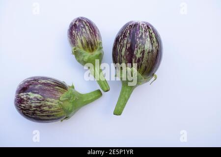 Brinjals, eggplants or aubergines fresh Indian vegetables or fruits. Purple violet colored with white stripes, round or spherical shape eggplants isol Stock Photo