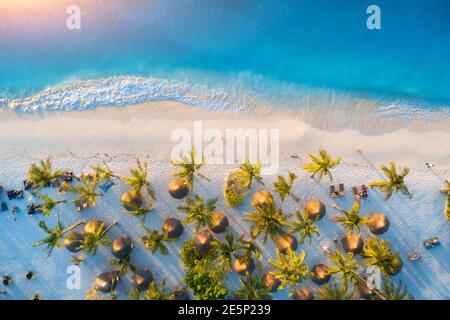 Aerial view of umbrellas, green palms on the sandy beach Stock Photo