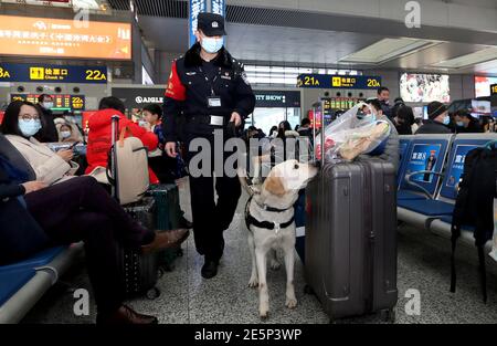 Shanghai, China. 28th Jan, 2021. A policeman patrols with a police dog at the waiting hall of Hongqiao Railway Station in Shanghai, east China, Jan. 28, 2021. China kicked off its annual travel rush, known as 'chunyun,' on Thursday, with hundreds of millions starting to head home for the Spring Festival that falls on Feb. 12 this year. Known as the world's largest annual human migration, the travel rush lasts 40 days from Jan. 28 to March 8 this year. Credit: Fan Jun/Xinhua/Alamy Live News Stock Photo