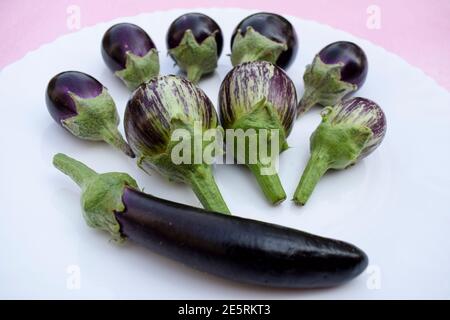 Three different variety types of Brinjals also called Eggplants and aubergines. Dark purple various types of eggplant from India. Fresh Indian vegetab Stock Photo