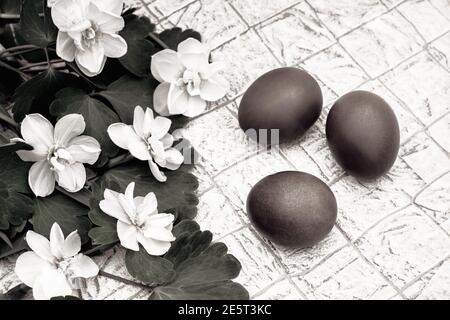 Three red Easter eggs and blooming daffodils Stock Photo
