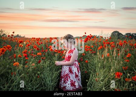 Pretty child young girl portrait in red dress stood in big poppy flower field countryside landscape dusk orange sunset  beautiful sky clouds standing Stock Photo
