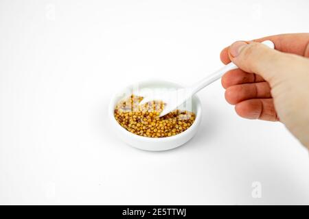 granular seeded dijon mustard in a small plate with little spoon. Isolated on white Stock Photo