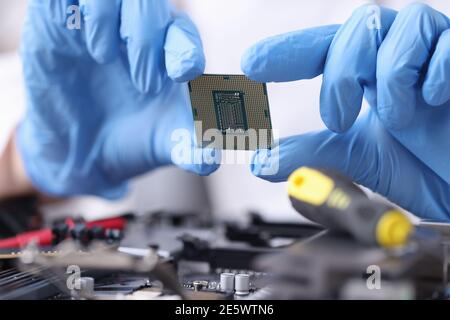 Hands in rubber gloves are holding microprocessor closeup Stock Photo
