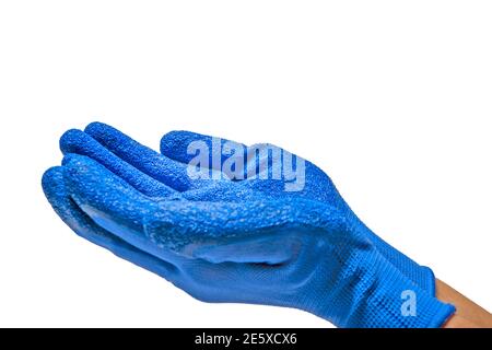 Horizontal close-up side shot of two blue gloved hands lifted up and cupped ready to hold something isolated on white. Stock Photo