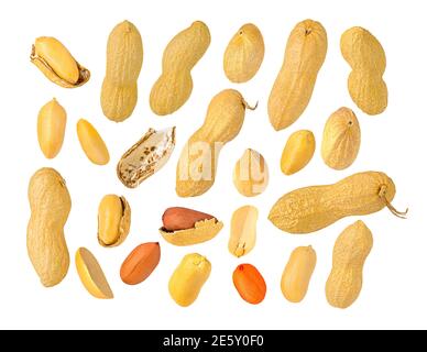 Big peanut set isolated on white background. Stock Photo
