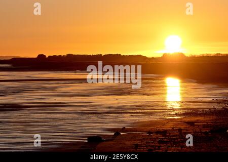 The sun begins to set over the beach at Arbroath at the end of a winters day, its light reflected in the wet sands. Stock Photo