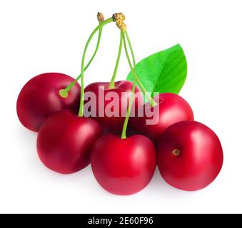 Cherry isolated on white background.  Cherries with leaves and stems close up Stock Photo