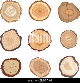 Cross section of tree stump rings set isolated on white background. Vector illustration Stock Vector