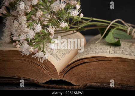 A very old open book with a bouquet of fresh wild flowers tied with a rustic thread and lying on top of written pages. Side angle view of subject Stock Photo