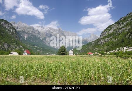 corn field and small church in Theth Valley, Albania Stock Photo