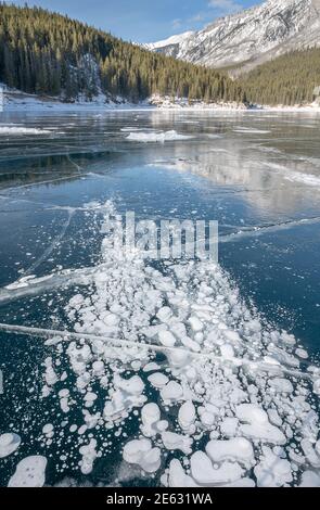 Methane bubbles trapped in the ice on Lake Minnewanka in Banff National Park, Alberta, Canada Stock Photo