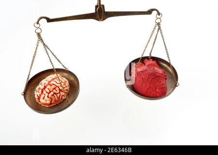 Brain and heart on scale balance on white background Stock Photo